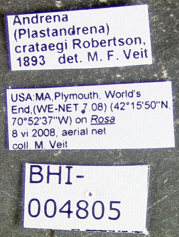 Media type: image;   Entomology 609477 Aspect: labels